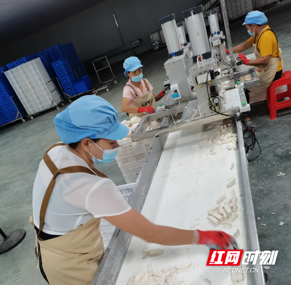江永:熠熠生辉的产业明珠