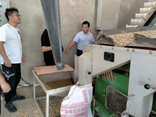 长乐区鲤峰食品与漳县三家农民工专业合作社在蚕豆种植,销售
