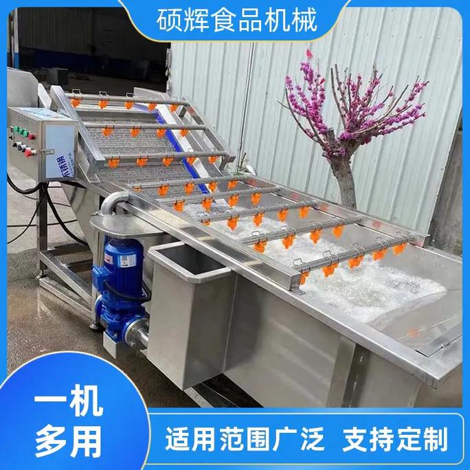 中药材气泡清洗机销售,选择硕辉食品机械,多年经验, 厂家直供